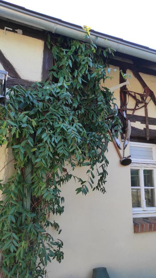Zum Tischler Lägenhet Ilmenau Exteriör bild
